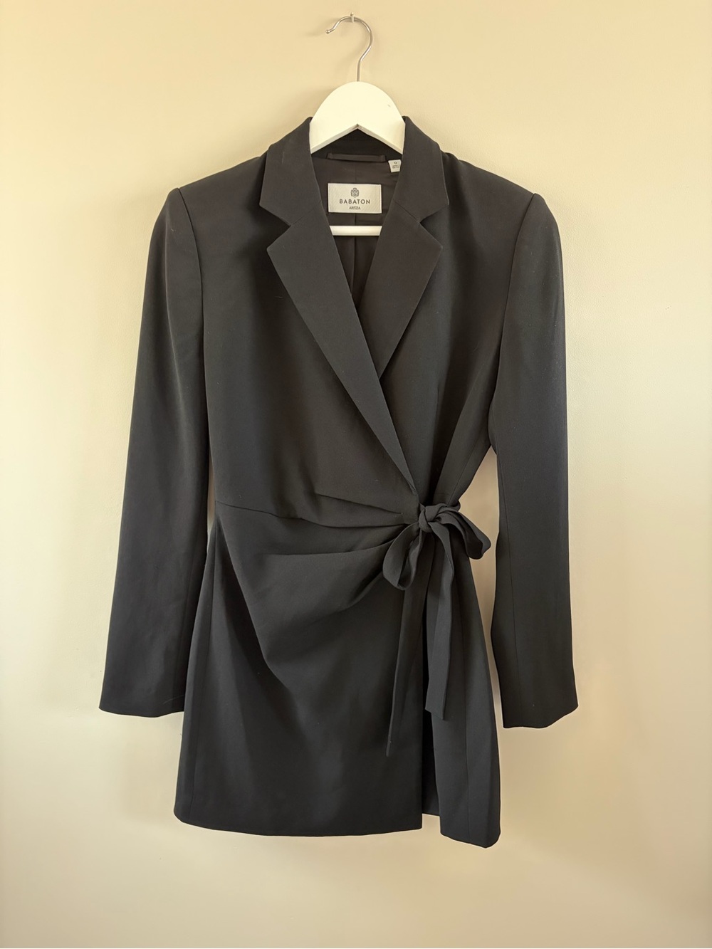 Aritzia babaton pavilion dress